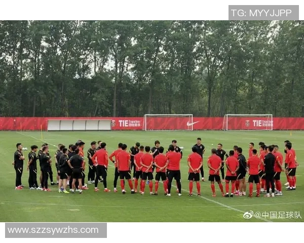 足球等级解析:从业余到职业的全面指南与发展路径探讨