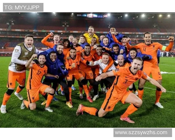 荷兰与意大利比赛前瞻分析及胜负预测详解